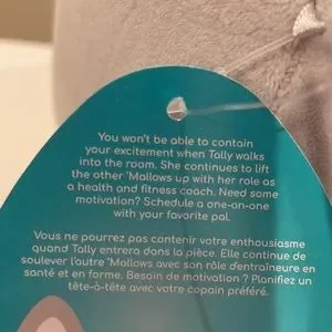 Squishmallows Other Nwt Tally The Cat With Flower Crown